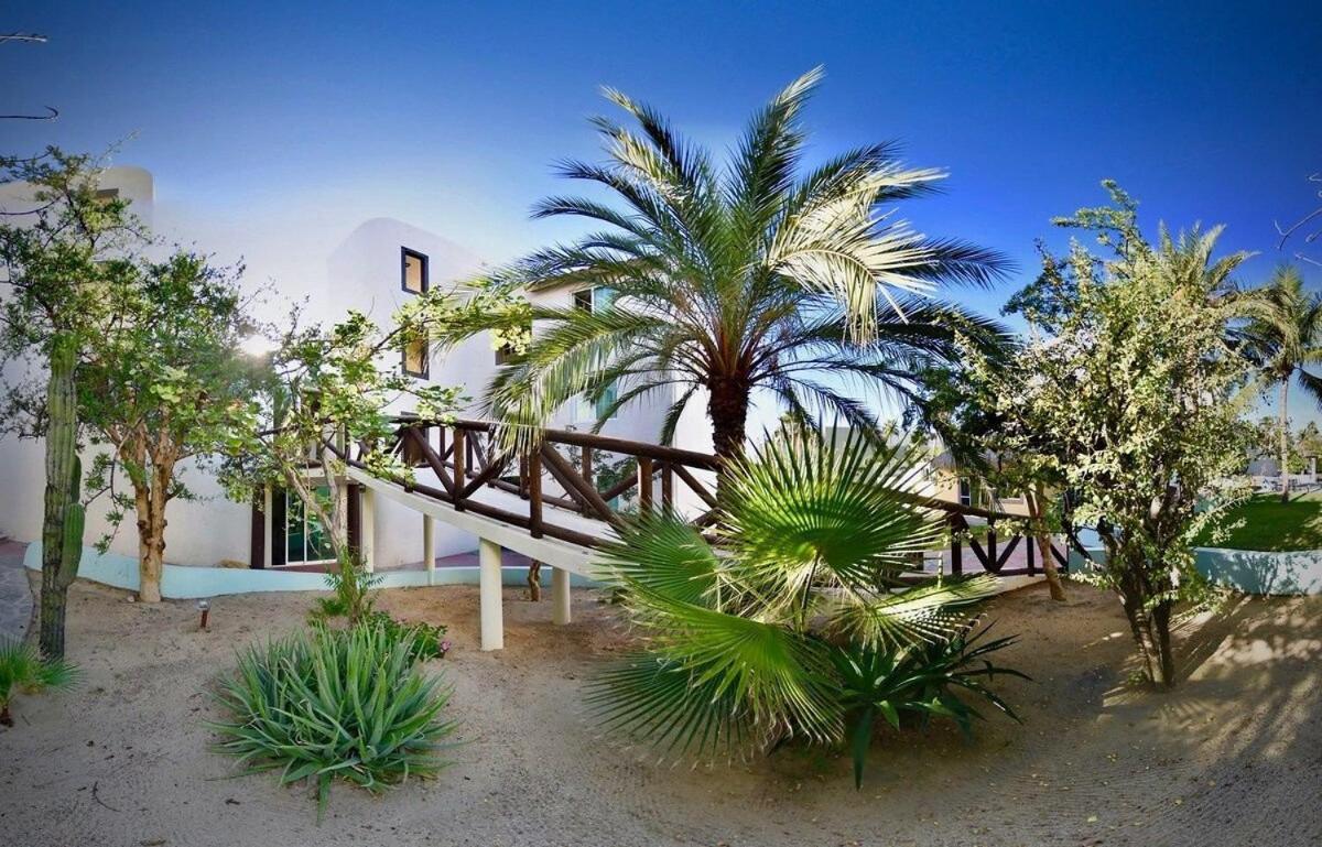 Sm Apartments San José del Cabo Exterior foto